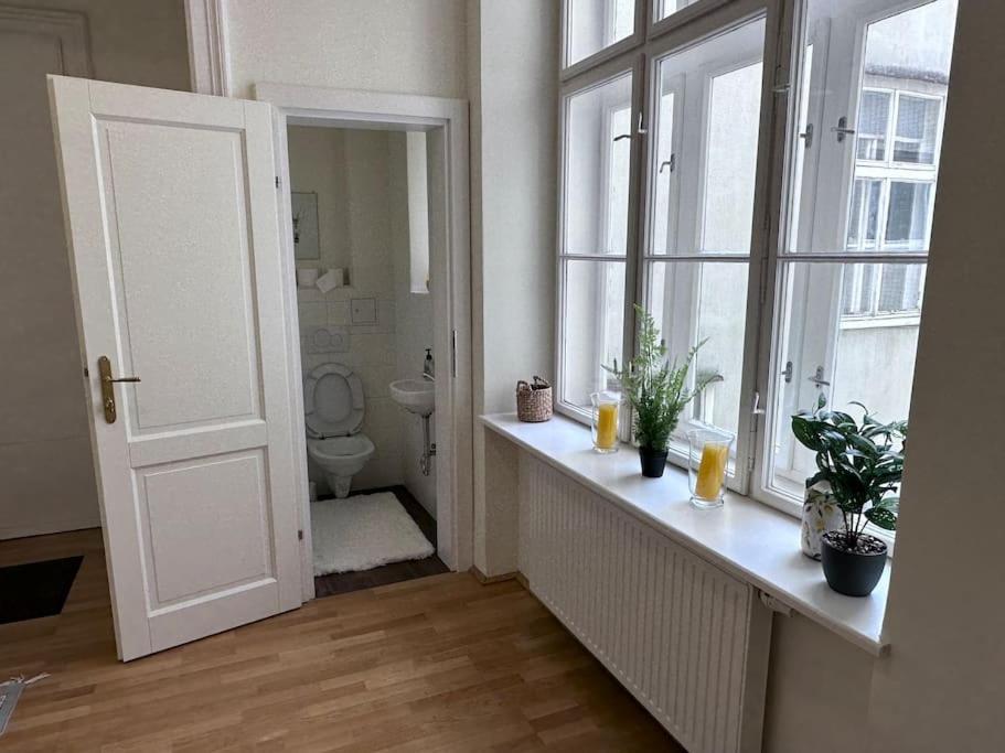 Grossraeumige Altbauwohnung Nahe Zentrum Apartment